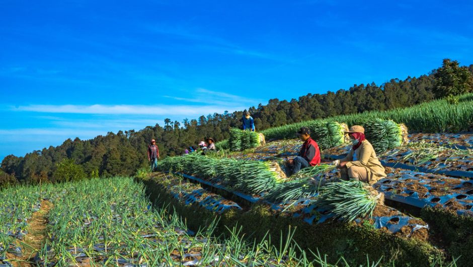 Agricultura sustenabilă în zone montane