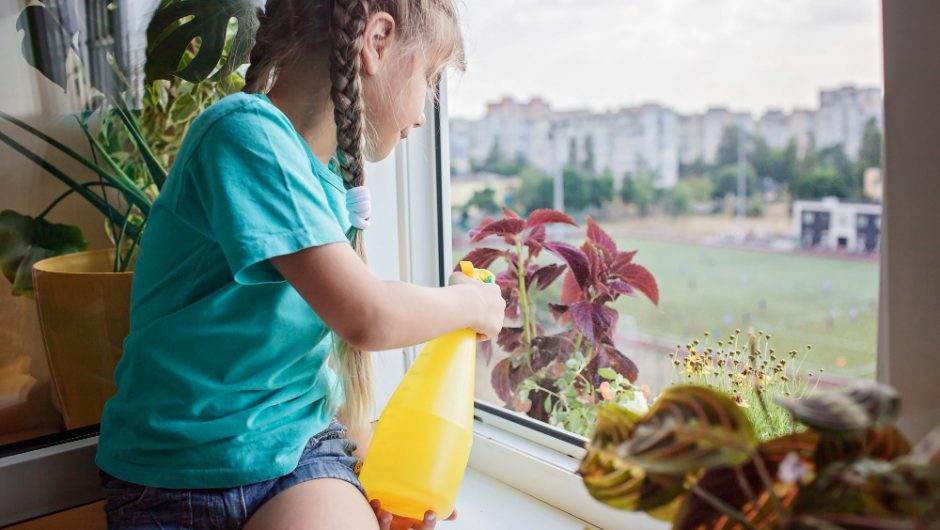 Cele mai bune idei DIY pentru decorarea balconului