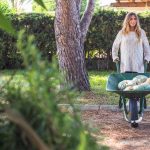 Secretele unei grădini verzi și sănătoase pe tot parcursul anului