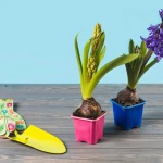 Ce plante pot atrage fluturi și albine în grădină